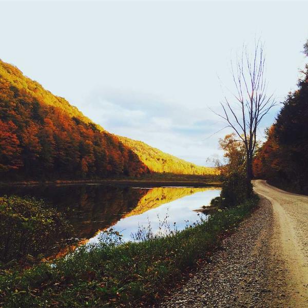 Summer Dress thumbnail 2